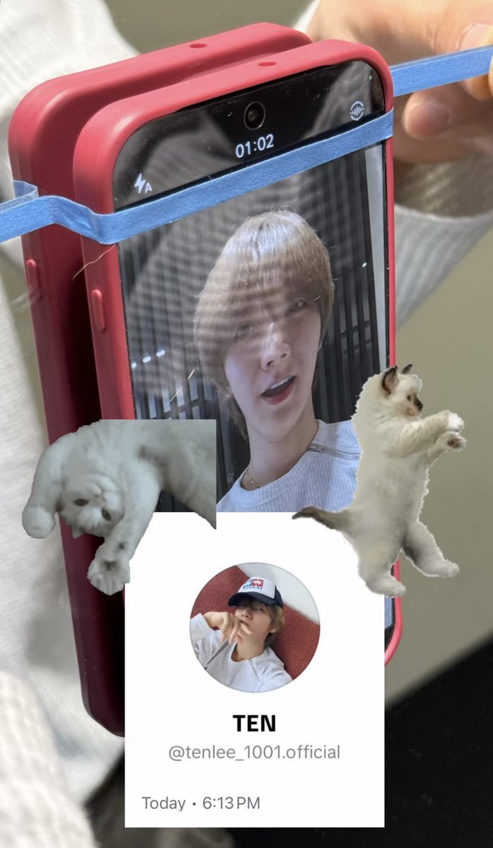 ฮอลลล์ ヅ tweet media