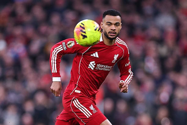 Spion Kop tweet media