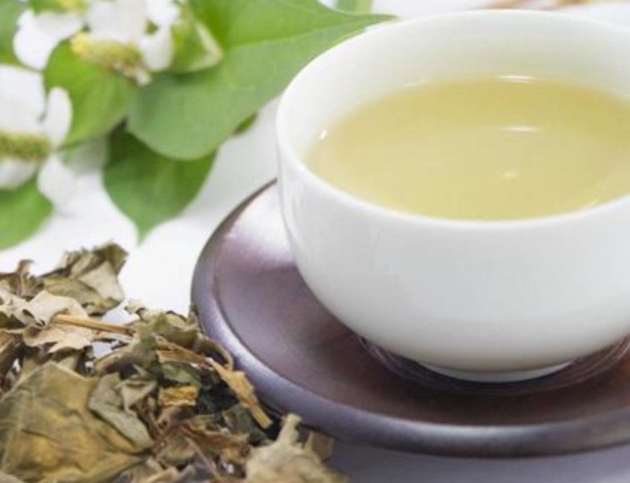 <a href="/Adisa382/">Adeshina Adetunji</a> 日本の田舎だと、この、生命力が非常につよいドクダミという草を乾燥させ、お茶にして飲むよ。
奇妙な匂いが強い草で、お茶にもその匂いがあるが、飲み慣れるとなかなかおいしい。
都内だと健康食品の店で見ることがある。