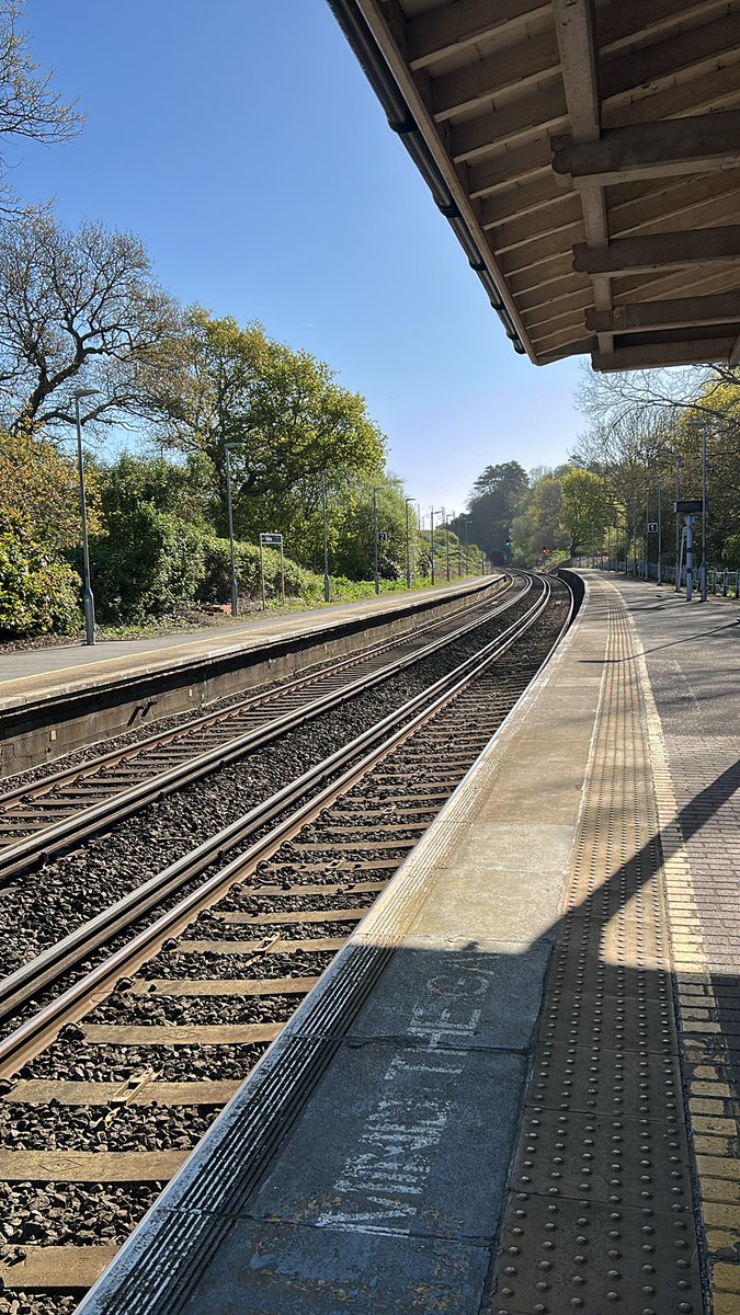 Sam Howe 🎗️ tweet media