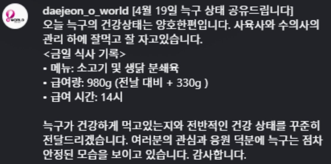 캣츠파파 tweet media