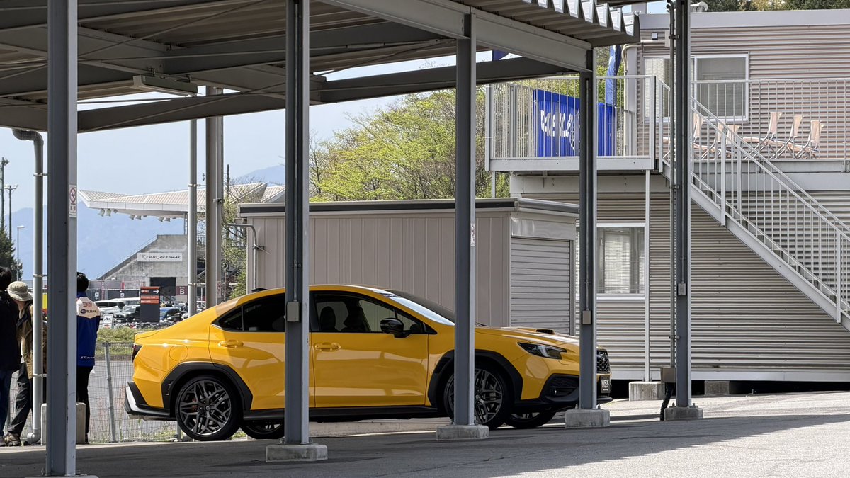 SGP FORESTER TV tweet media