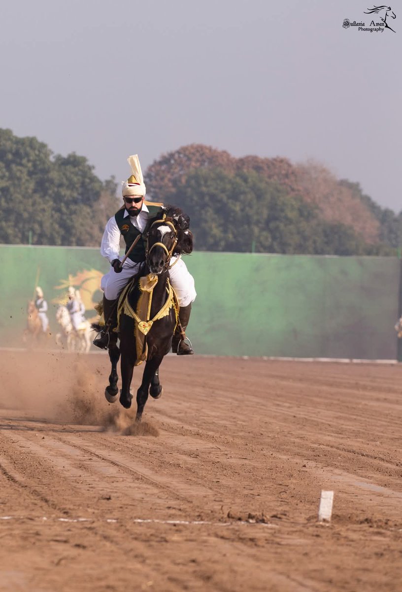 Congratulations Sahibzada Sultan Muhammad Ali! Your success proves that Pakistani talent has the potential to be at the forefront in every field. 🇵🇰🏅 

#SultanVicePresidentITPF
#SultanRisesAgain
#GreenFlagRisesAtITPF