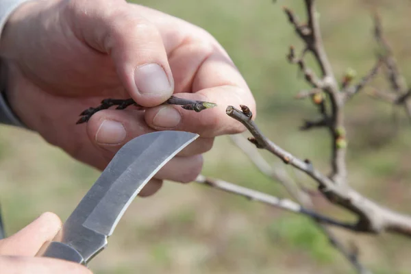 JUST LEA tweet media