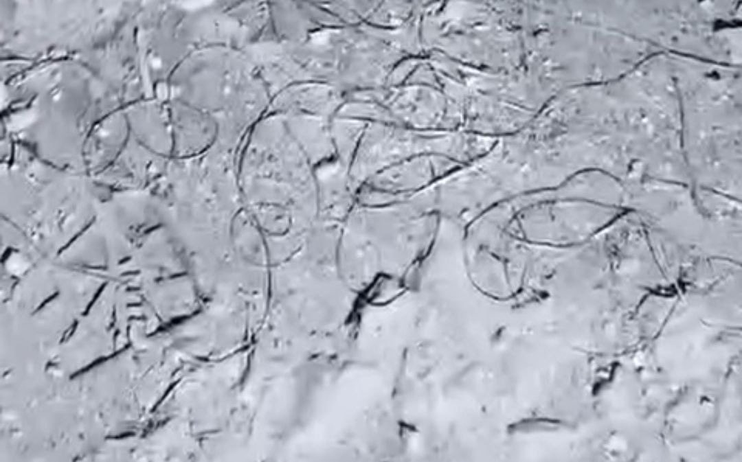 GrandpaRoy2's tweet image. The conductive fibers create short-circuits by bridging uninsulated wires and components of different electrical phases or creating paths to ground.
This is the same principle of American CBU-94 “blackout bomb” submunitions.
2/