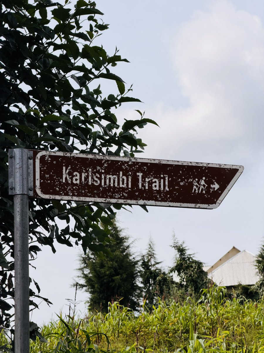 Moussa SENGE tweet media