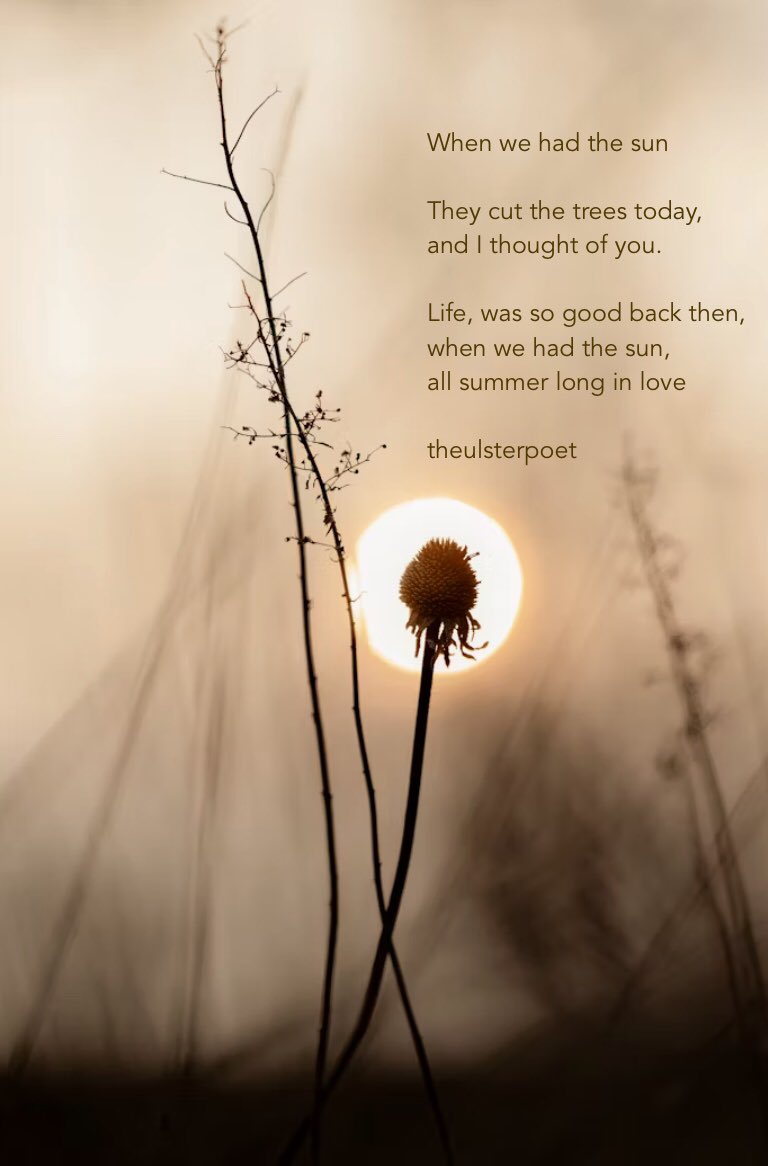 Ulsterpoet's tweet image. Looks like a bit of sun and cloud today … take one of each and laugh as life just throws her magic in your face 😀

#poetry #sunshine #clouds #weather #motivation