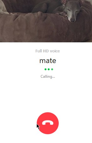 GO POCKET CHINGU || INA GO 🇮🇩 tweet media