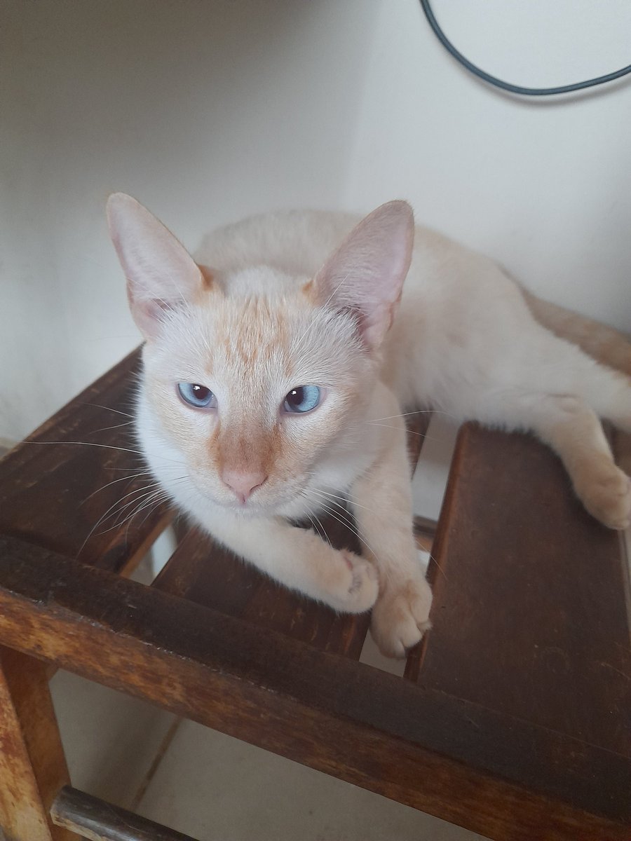 <a href="/lulu_sccp_/">Luh📌</a> <a href="/malokero_loko/">мαℓσкєrσ ℓσкσ ˢᶜᶜᵖ🟩⚪🟥🇻🇪🇵🇸🦅⚽🦬🏈</a> <a href="/athiabalba_/">Vania Despicable Me</a> <a href="/anaberssani1/">Anna 🌻✨🧙</a> <a href="/claudia_maria/">Cláudia Maria🐾♈★彡</a> <a href="/Claudia49286925/">උしAµdÏA✿sccp</a> <a href="/PauloRe48811361/">🏁Paulo🏁</a> Oi Lu ⚘️  bom dia