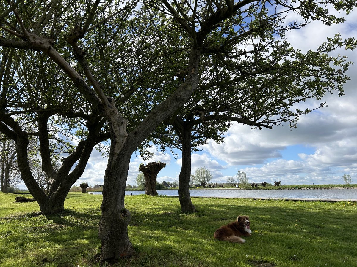 mariannezw's tweet image. Wij willen gewoon dat onze dorpjes een beetje dorps blijven. 

#RedHetPlatteland