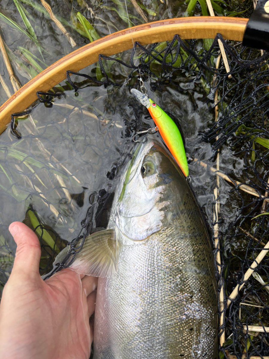 NARI＠乞食 tweet media