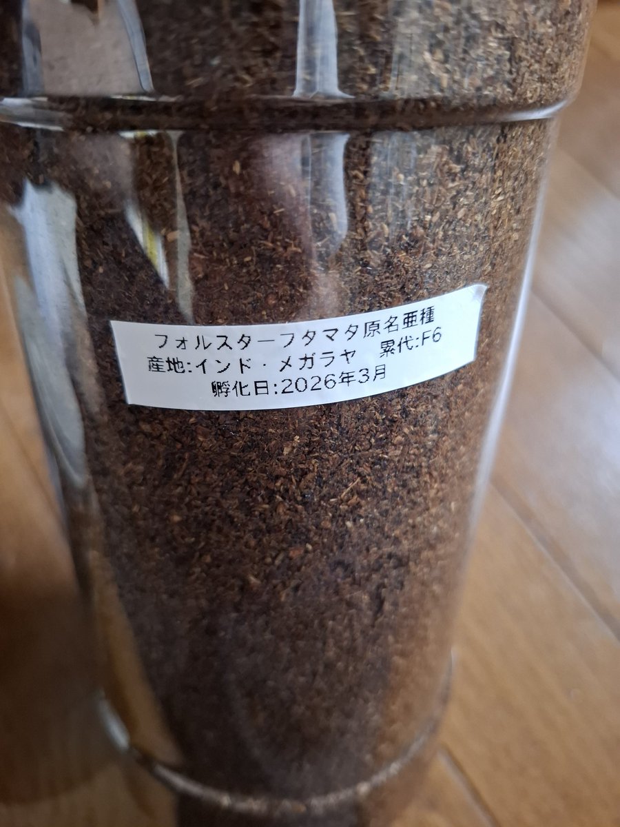 クワ課長 tweet media