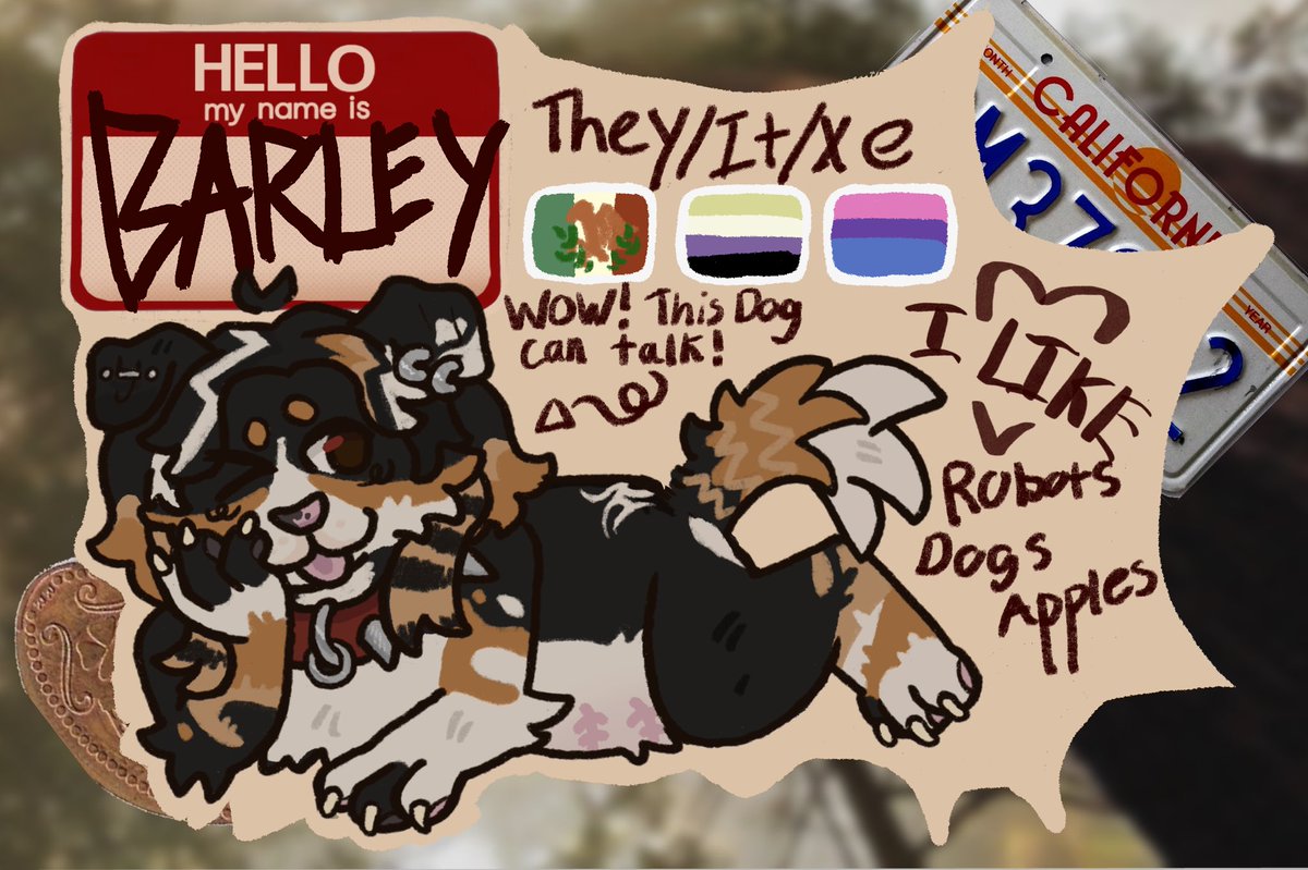 BARKLEY ᐡ ᐧ ﻌ ᐧ ᐡ 🍎 tweet media