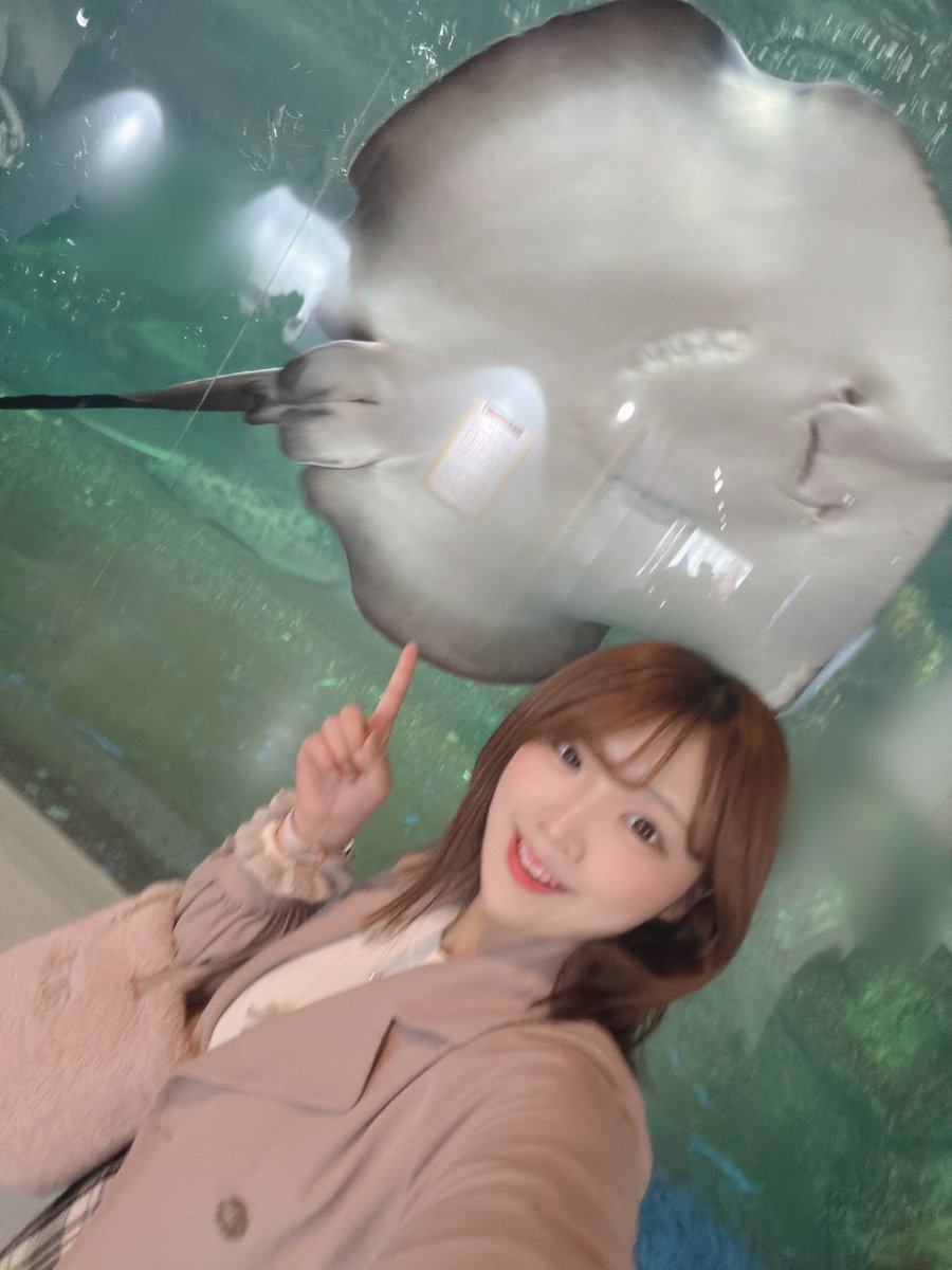 まひ🐰🎀 tweet media