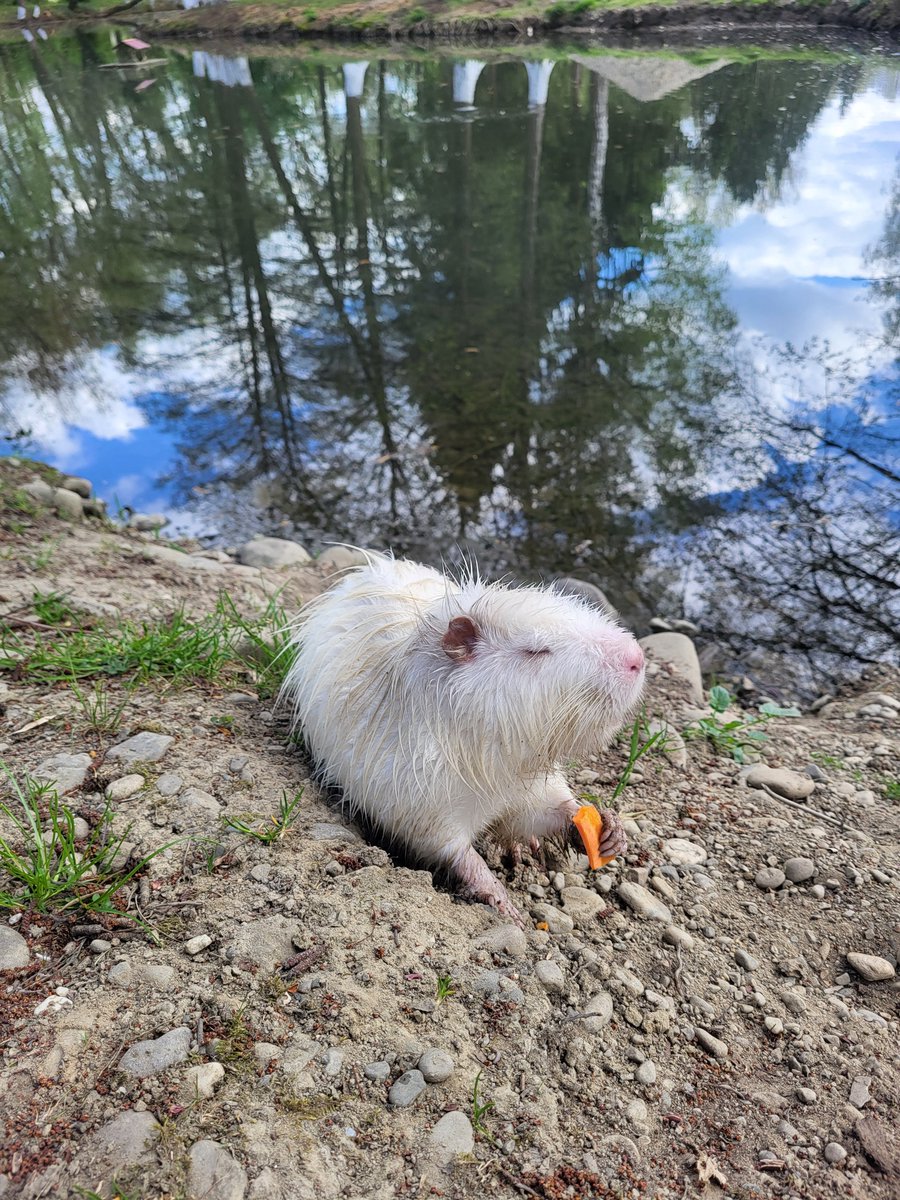 Уліч 🇺🇦 tweet media