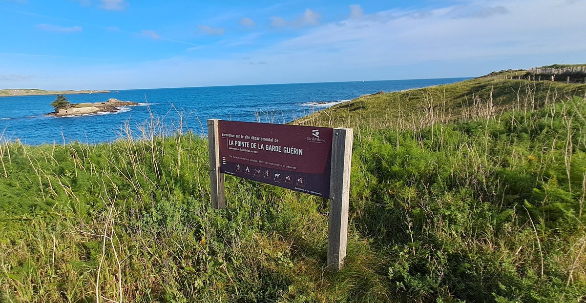 laurent27100's tweet photo. Balade matinale en Bretagne sous un beau ciel bleu et un soleil rayonnant ☀️ Une journée qui s’annonce magnifique. Bon dimanche !
#Bretagne #BaladeMatinale #CielBleu #Soleil #BonDimanche #Nature #Paysage #MomentPresent https://t.co/YE2eY5oyS8