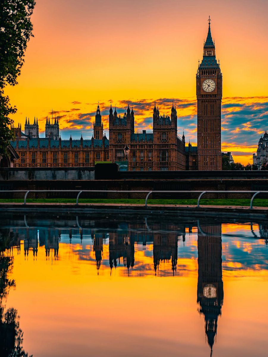 Nature Feels Only tweet media