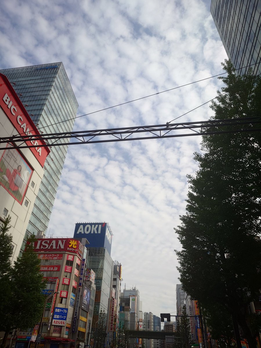 ありあ tweet media