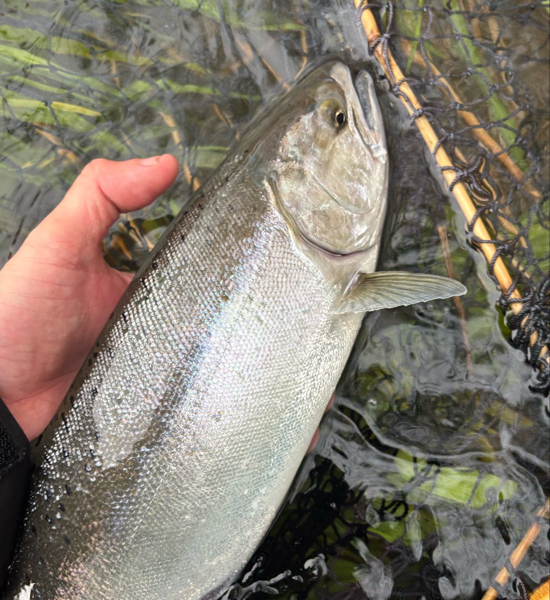 NARI＠乞食 tweet media