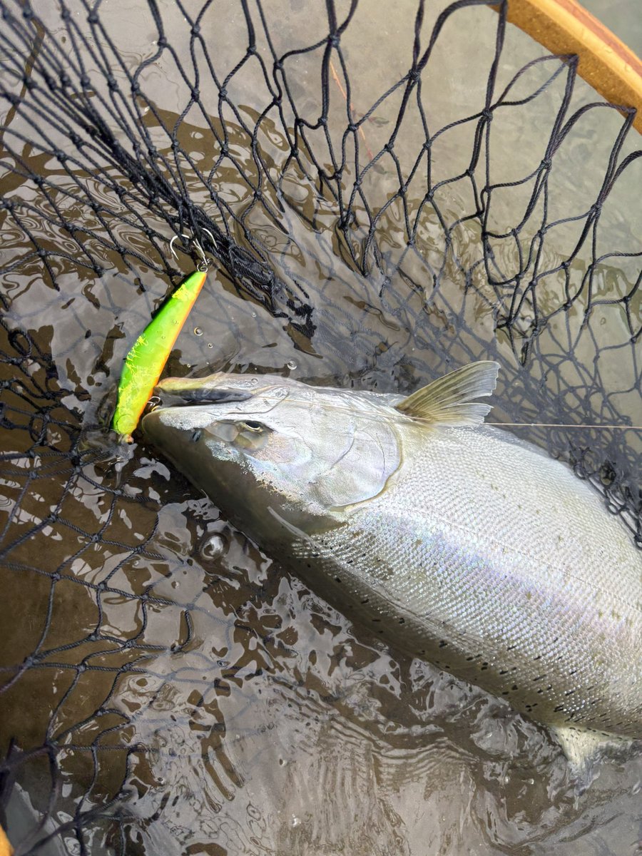 NARI＠乞食 tweet media