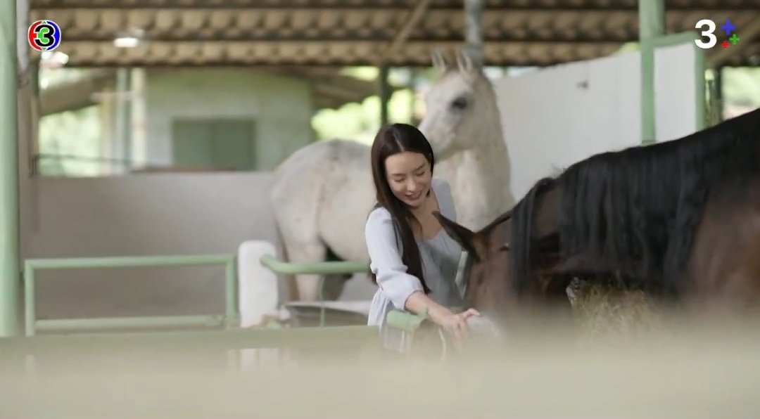 EnjoyLight tweet media