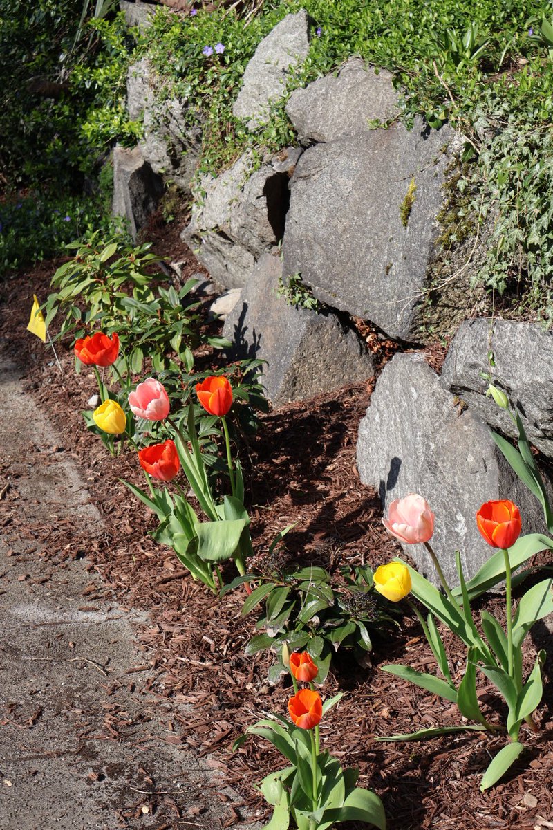 阿巴吧 tweet media