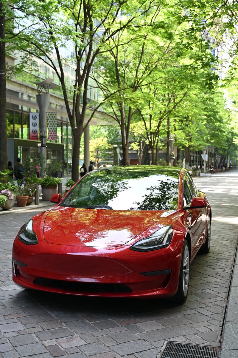 Umihotaru88's tweet image. #Tesla #Model3
#Nikon #Z6II