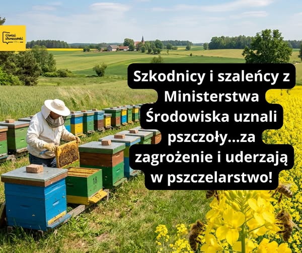 Agenda 2030 tweet media