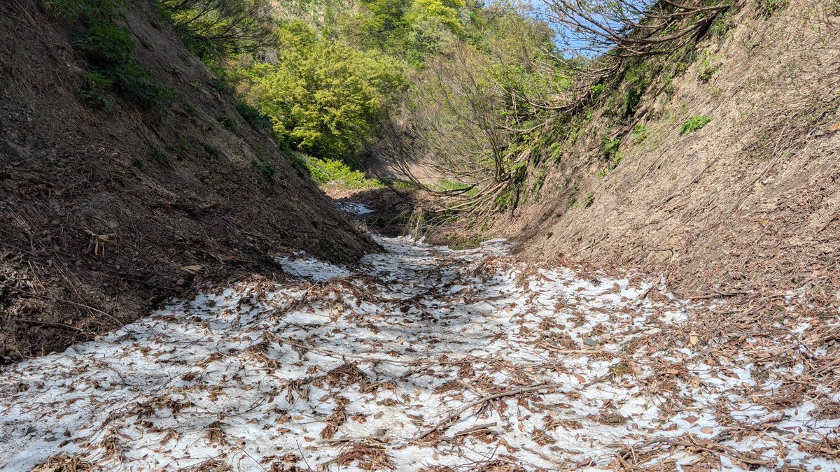 NoobowSystems 𝕏 tweet media