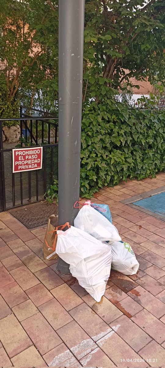 ALONSO XL ♻️ #BestDaysWhereStillAhead tweet media