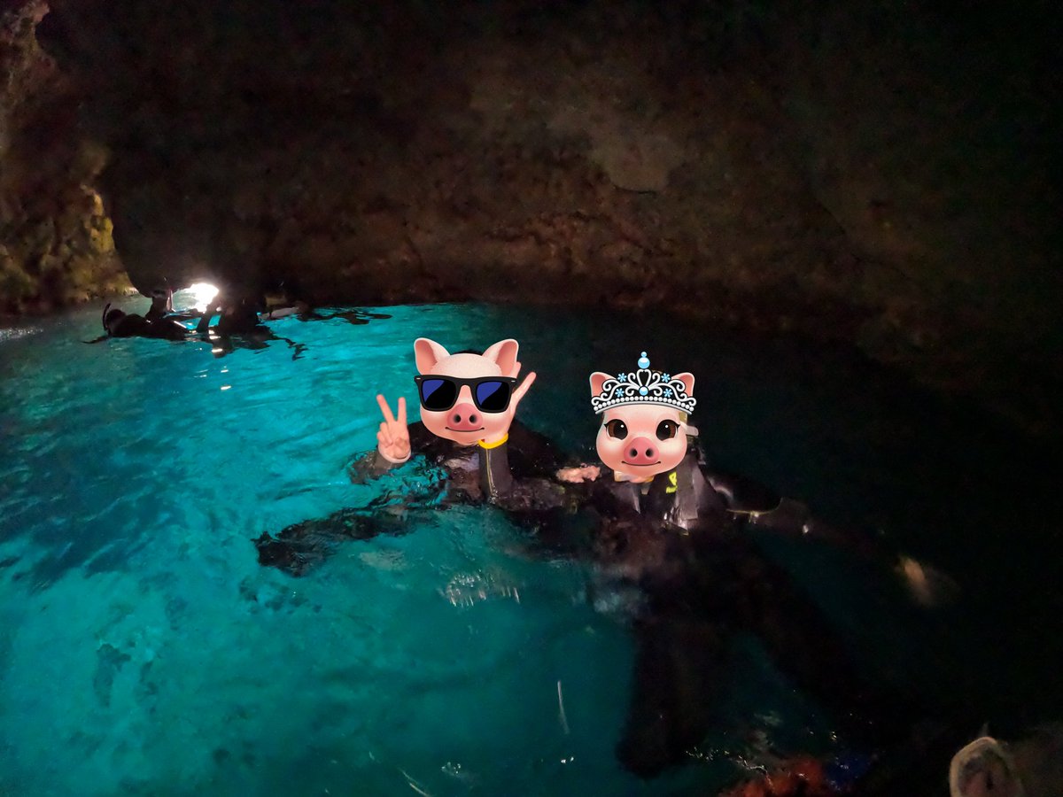 naoto..∴ tweet media