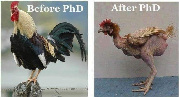 Scholarship for PhD tweet media