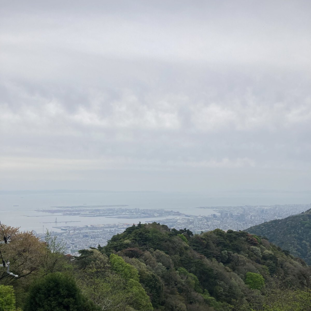 amemetola's tweet photo. 見納め https://t.co/SWtM0mezSO