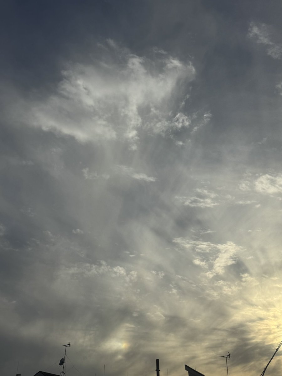 左幻日

 #イマソラ   #大気光学現象