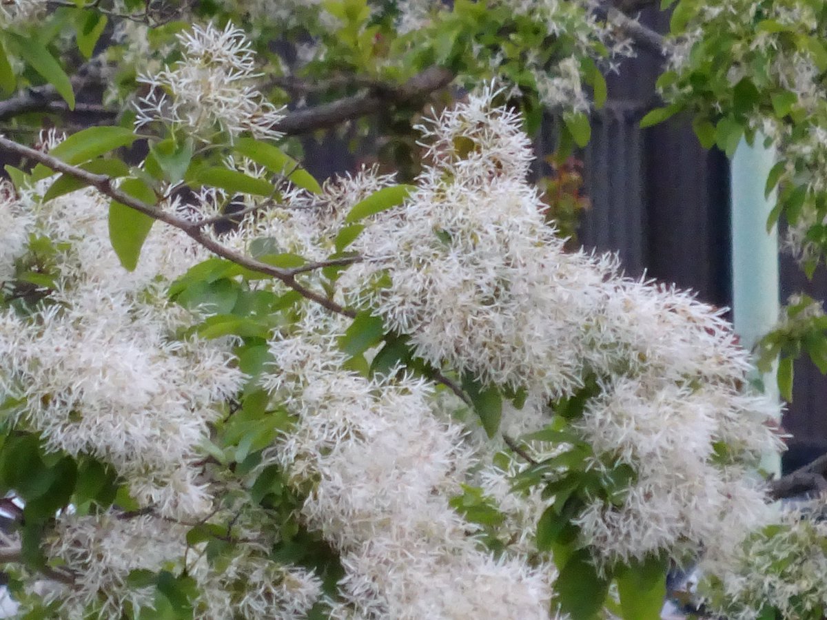 おいでよ名古屋@おいなご tweet media