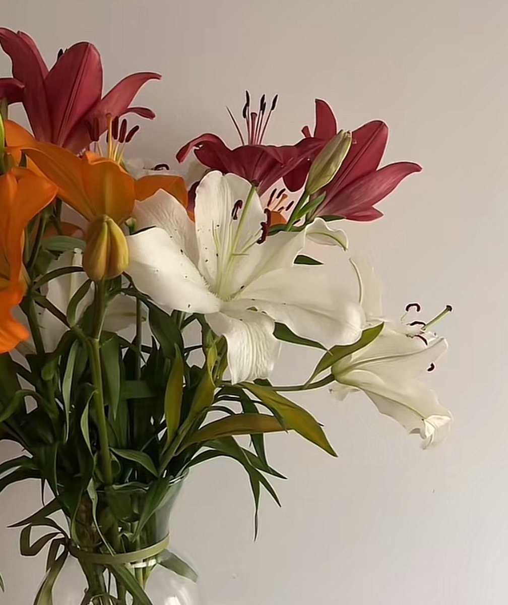 °❀.ೃ࿔* tweet media