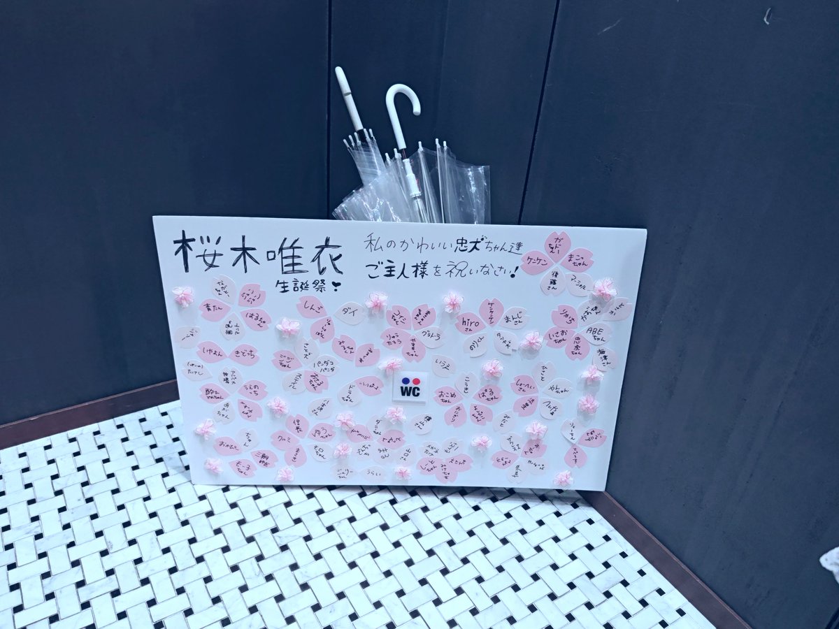 超絶ジュンジュン（チームのん・きえ班・越絶組) tweet media