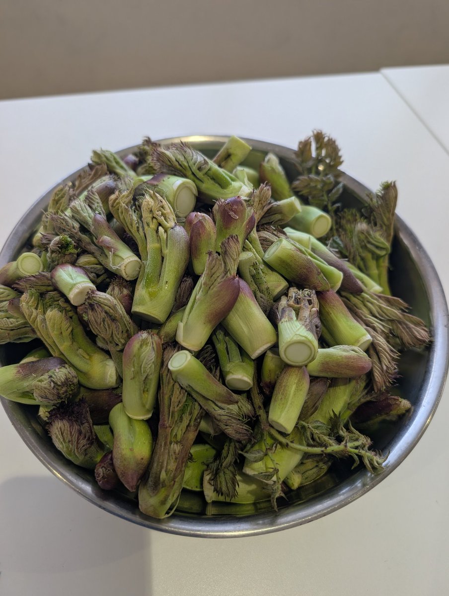 べーこんまん௵𓃵 tweet media