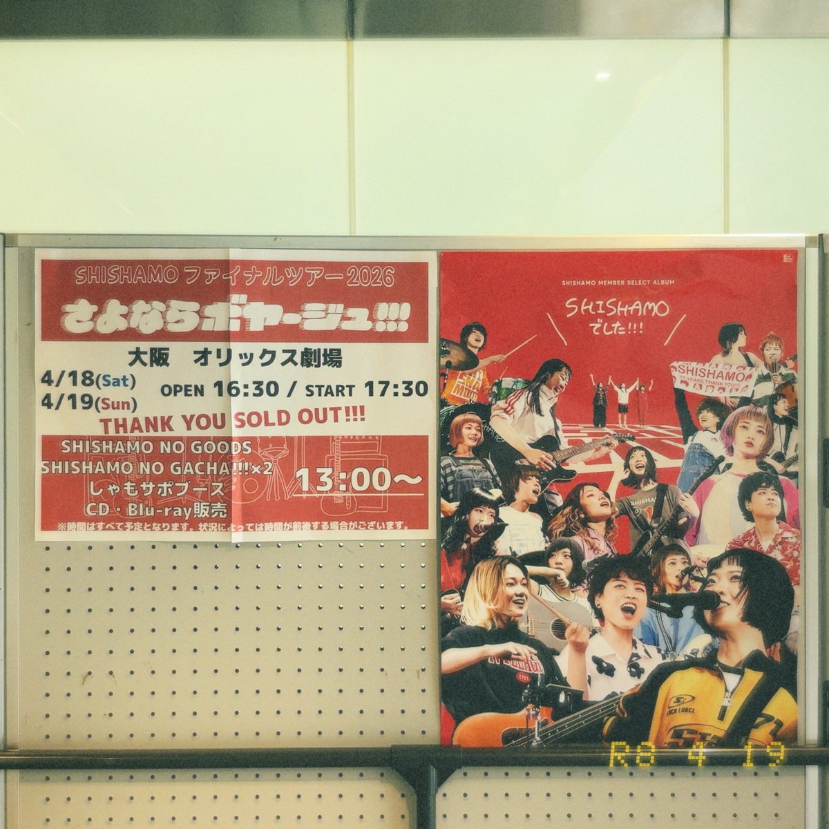 ゆぅ🦭 tweet media