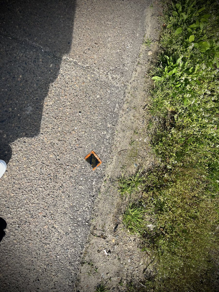 AYANE_Alirabi's tweet photo. どなたかカップ焼きそばのソースのみを落としてしまった方いらっしゃいませんか ?? 一先ずこちらで保護しております。元気です。 https://t.co/ddjnMCxY52