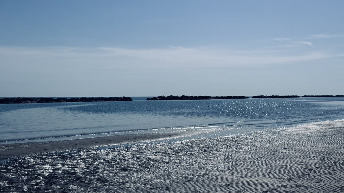 Marco Rossi tweet media