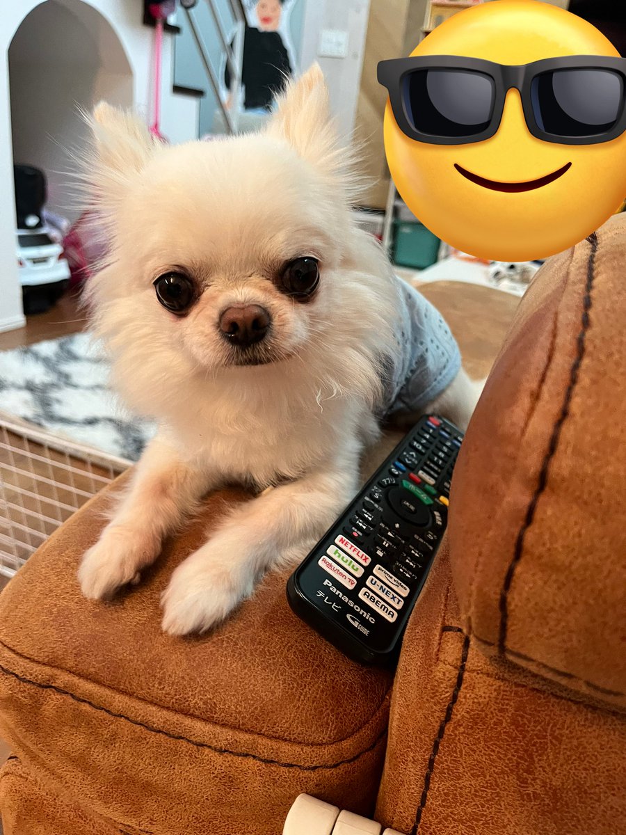 P&C ジロー🧔🏻‍♀️ tweet media