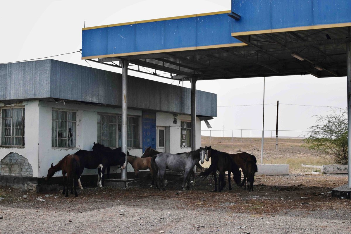 Novastan_Eng's tweet photo. Our #photooftheday by: Gereon Wintz (Germany)
https://t.co/rAek40OVql

A stop at the deserted petrol station in the village of Saryozek in Kazakhstan. https://t.co/EtwMubMT25