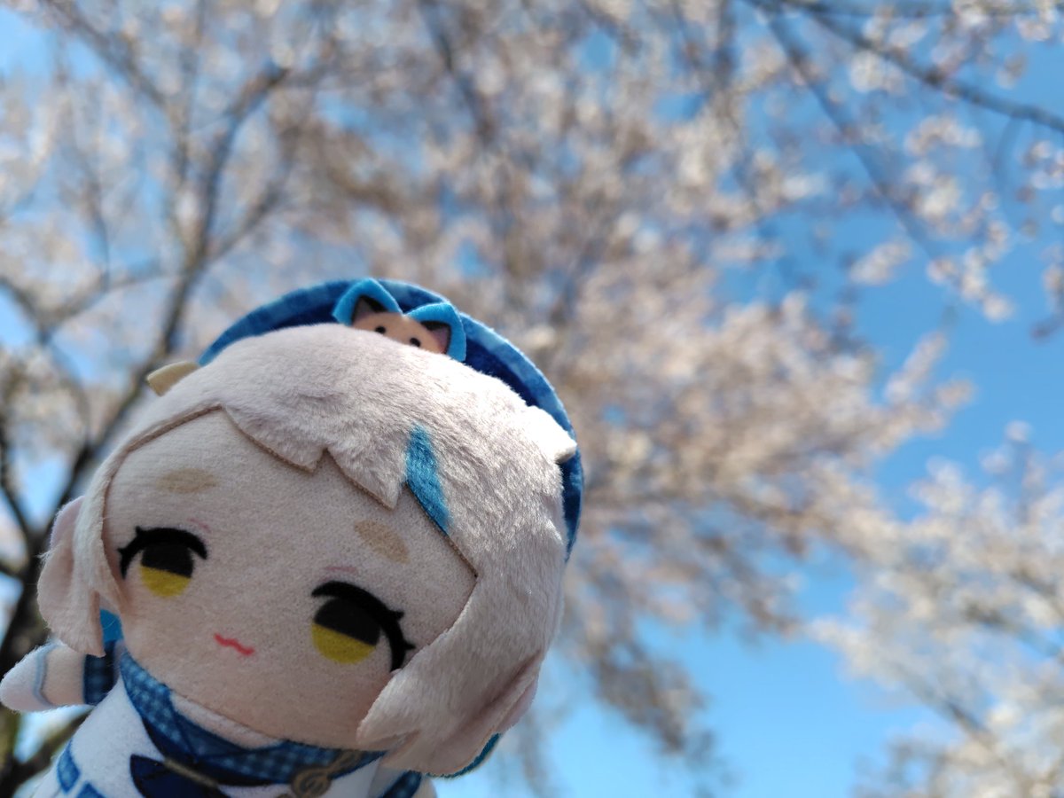 TheMEGANE2's tweet photo. 今日は友達とご飯食べたり花見したりしてきた！
天気も良かったし、散る前に桜見れて良かった🌸

3ヶ月ぶりくらいにプライベートで出かけたから空気が美味い✨

友達が愚痴も聞いてくれてめちゃくちゃ気分転換になった〜
大人になっても遊んだり話したりできる友達は大事だね。

#ちまぱぺと一緒 https://t.co/koivbPYVHh
