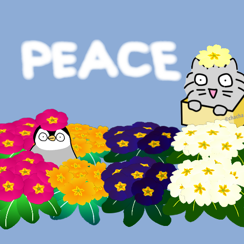 はこねこ tweet media