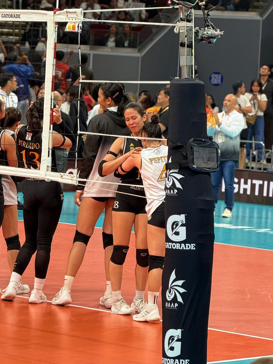 wankarloskrus's tweet photo. My heart!!!! 🥹💛🐯 https://t.co/MoS8GVCtAQ