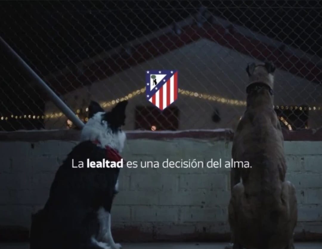 Fernando torres fan🇪🇸 (@fernando2031984) on Twitter photo 