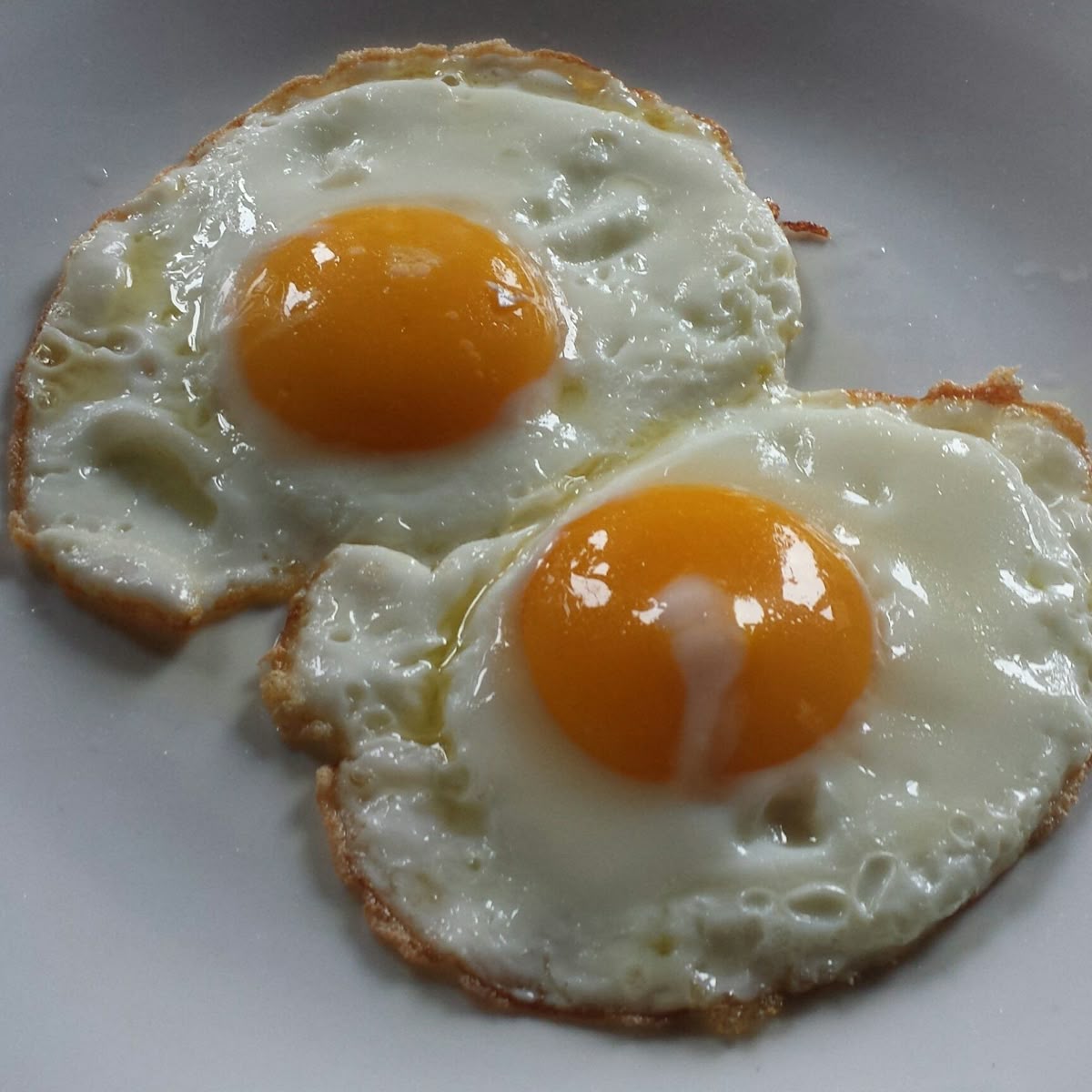 AncestralHealth☀️ tweet media