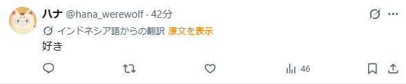 インドネシア語判定されてるって報告聞いてみてみたら自分からの表示もそうなってて草