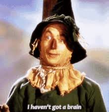 Shinzo20260319's tweet image. Donald Trump lacks a 🧠 🐖

#scarecrow #oz #fable